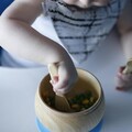 Wooden Mushroom Bowl